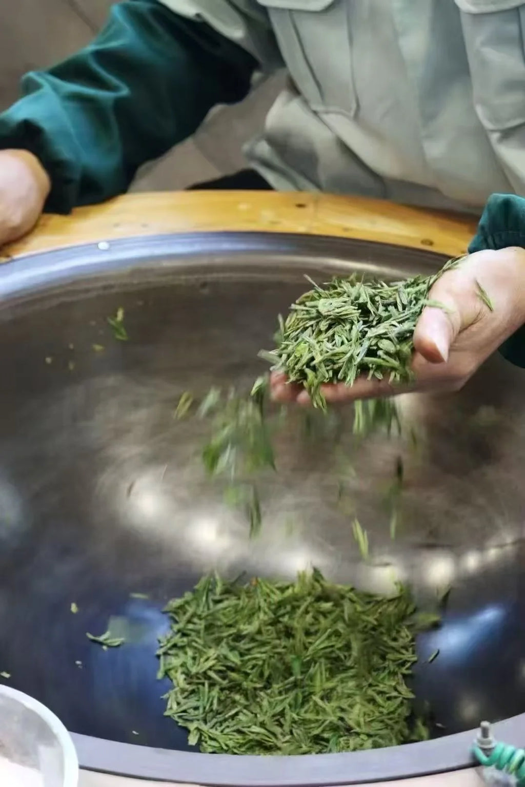 2026 Anji Bai Cha | Huzhou Zhejiang White Tea