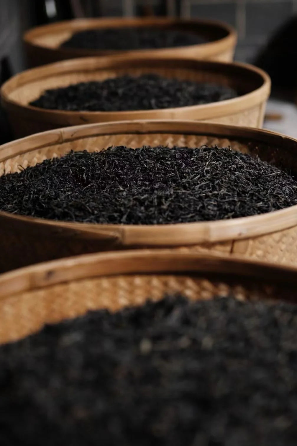 2025 Zhengyan Jin Mu Dan | Wuyi Rock Tea Oolong
