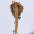 TSUJIKI SEICHA Uji Hojicha 30g