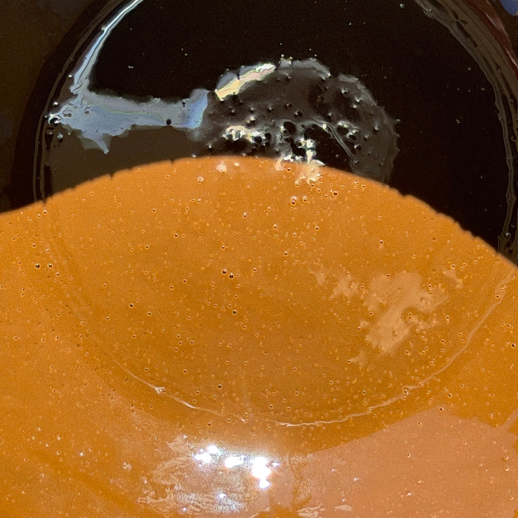 TSUJIKI SEICHA Uji Hojicha 30g