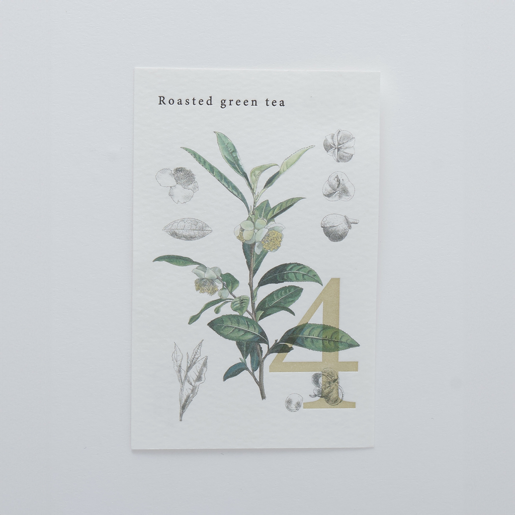 Roasted Green Tea (Hojicha)