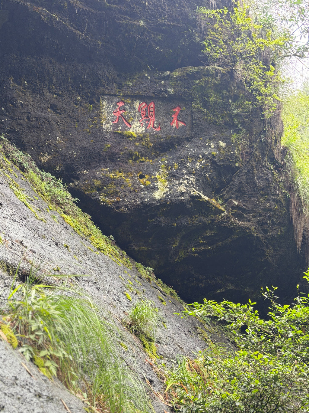2023 Shanhe Da Hong Pao | Wuyi Rock Tea Oolong