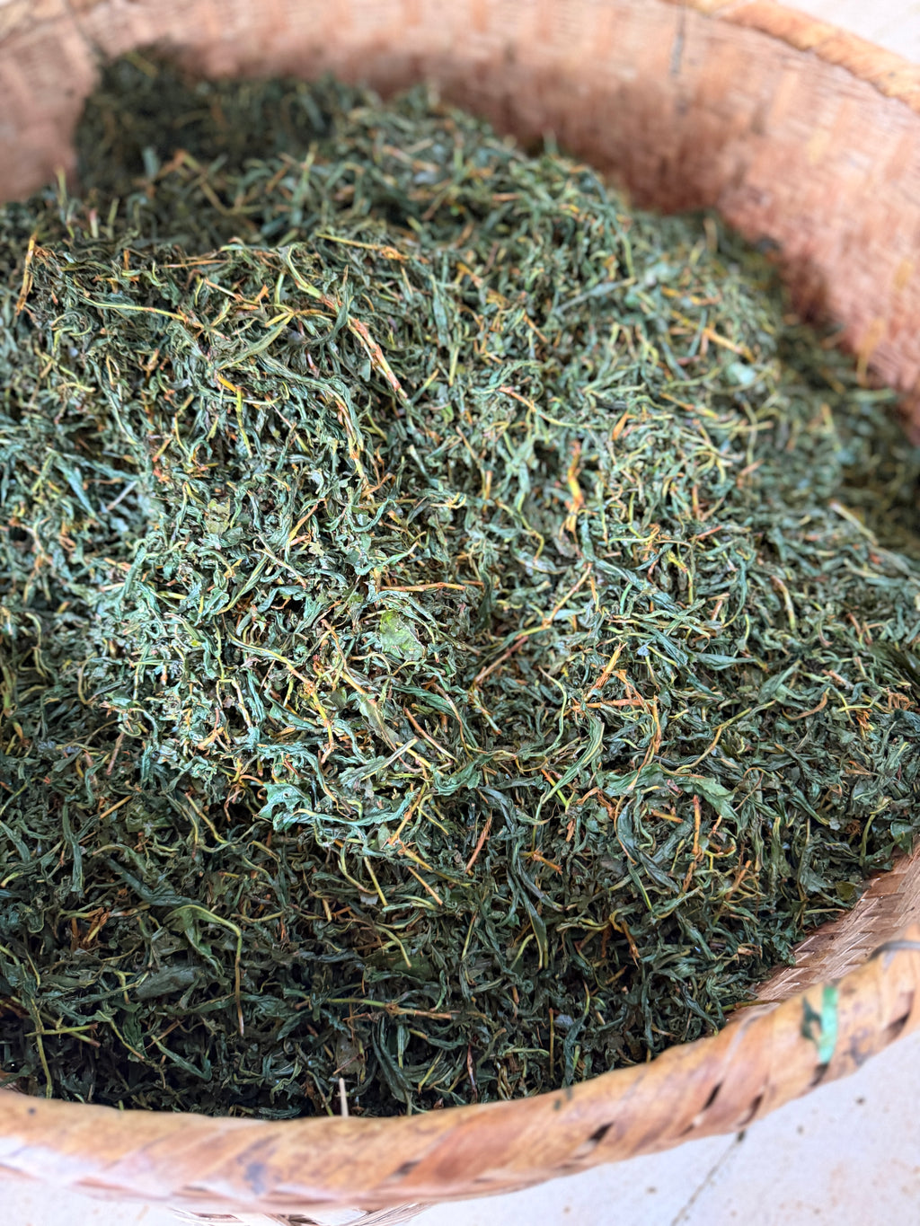 2026 Tongmuguan Wild Black Tea | Wuyi Mountain