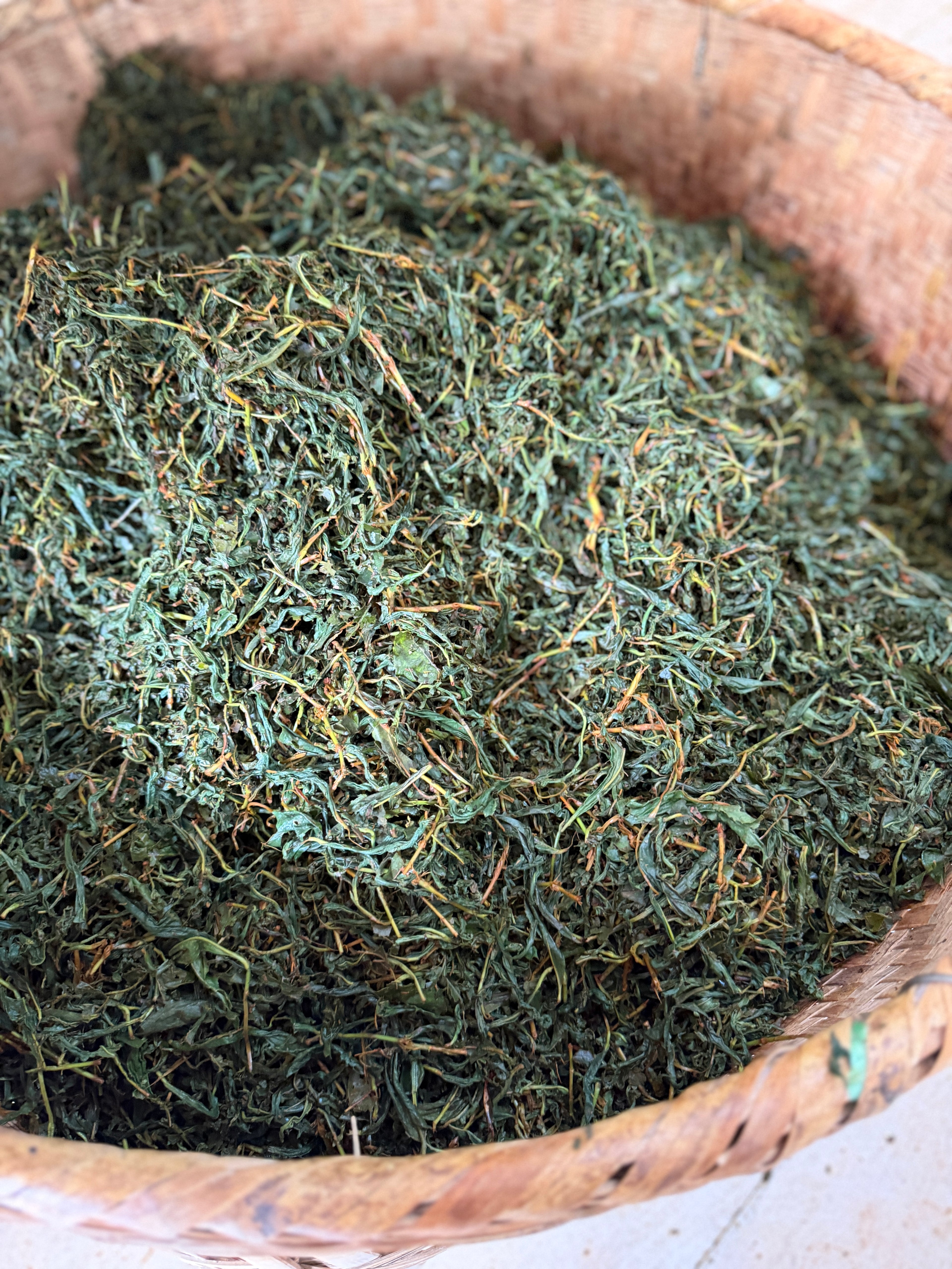 2026 Tongmuguan Wild Black Tea | Wuyi Mountain