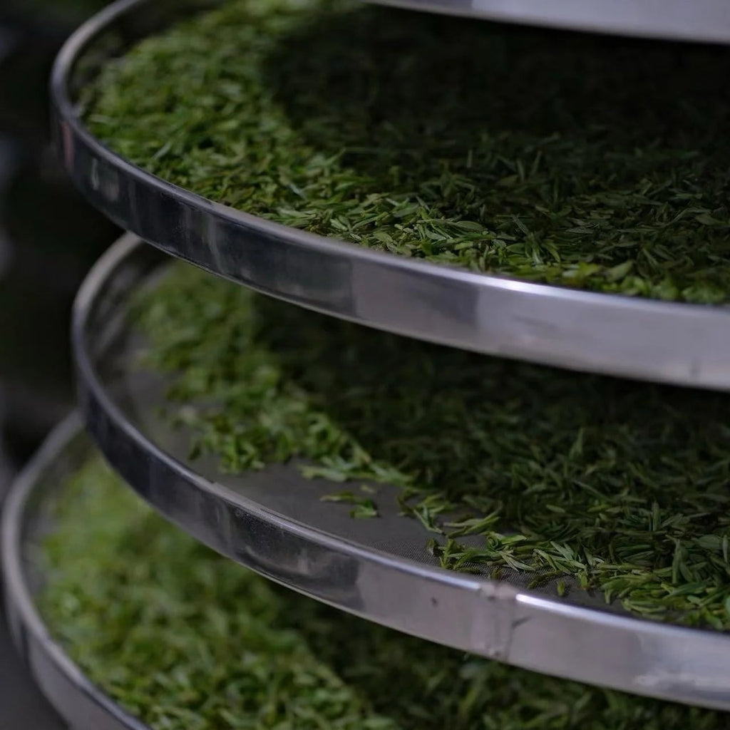 2026 Silver Needle | Tai Mu Mountain White Tea
