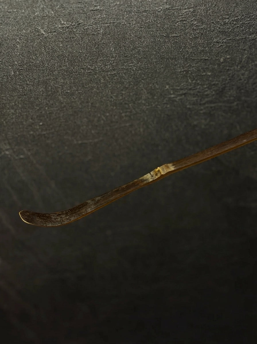 Chashaku Dark Bamboo