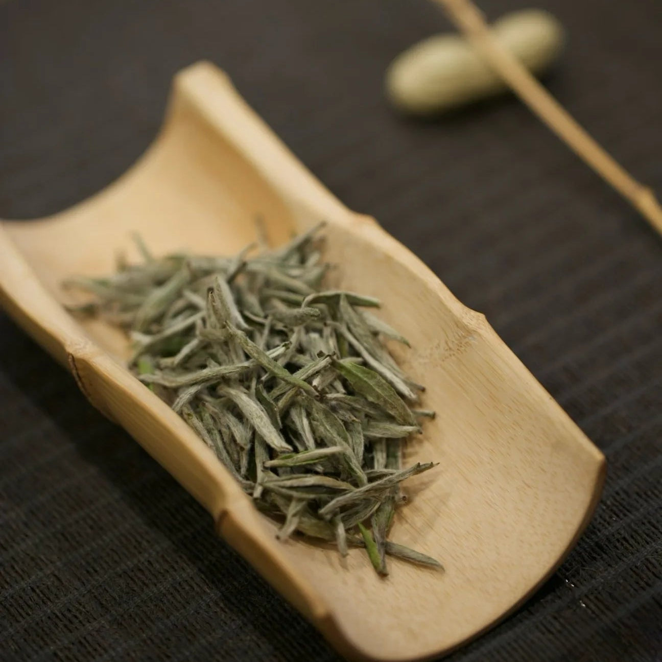 2026 Silver Needle | Tai Mu Mountain White Tea