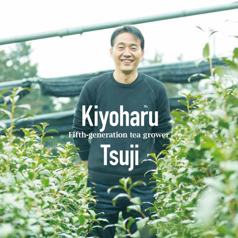 TSUJIKI SEICHA Reserve Blend Matcha