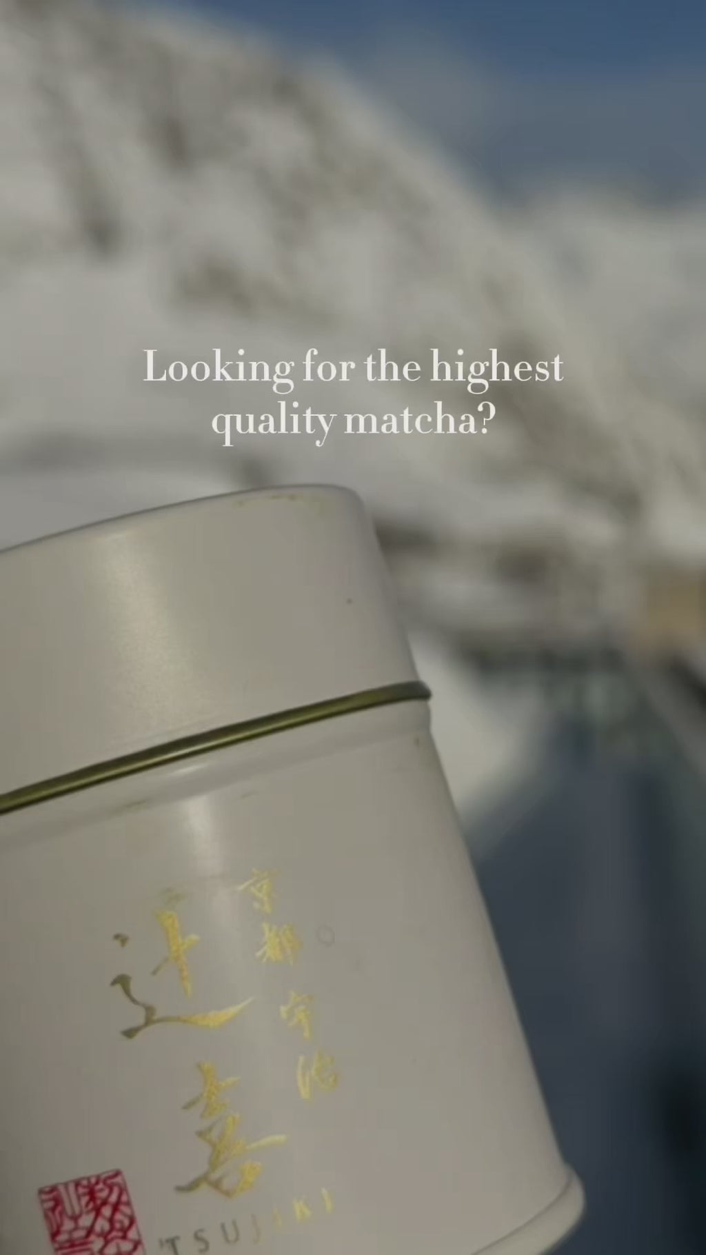 TSUJIKI SEICHA Reserve Blend Matcha